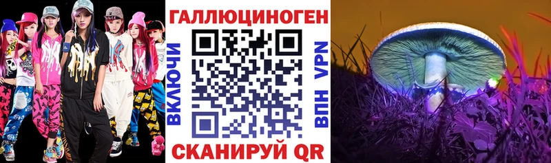 Псилоцибиновые грибы Cubensis  Нижний Тагил 