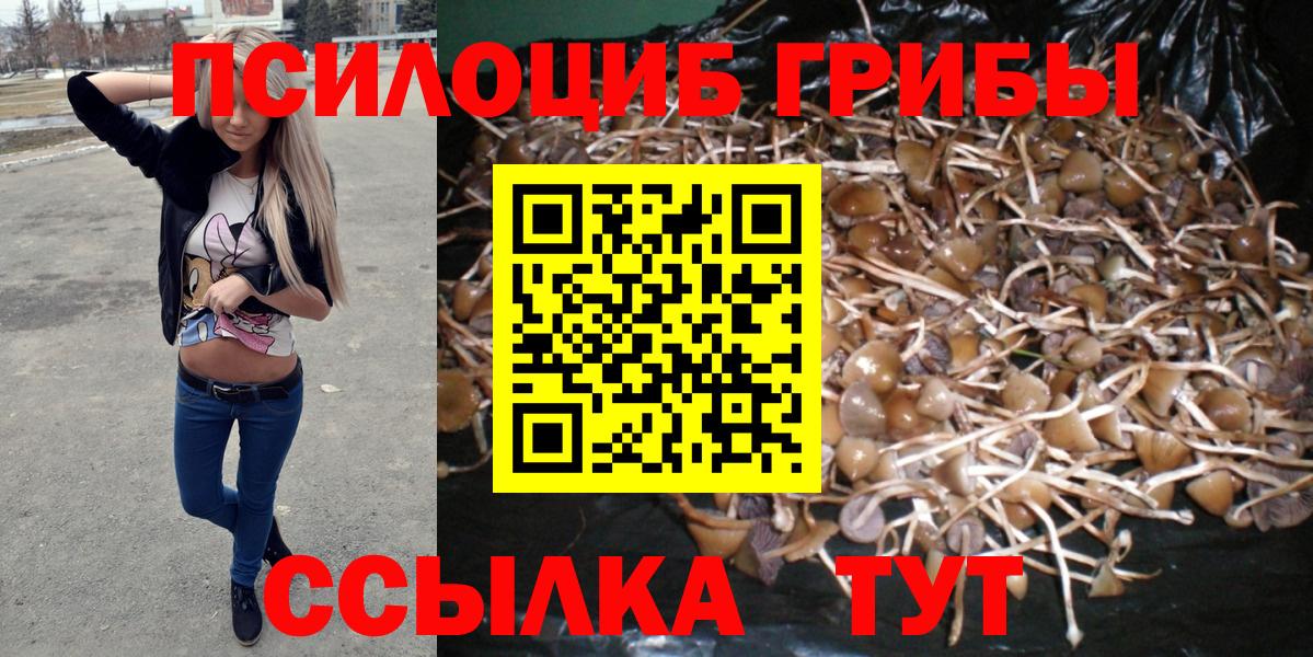 Нижний Тагил  Псилоцибиновые грибы Magic Shrooms  Вход с VPN 